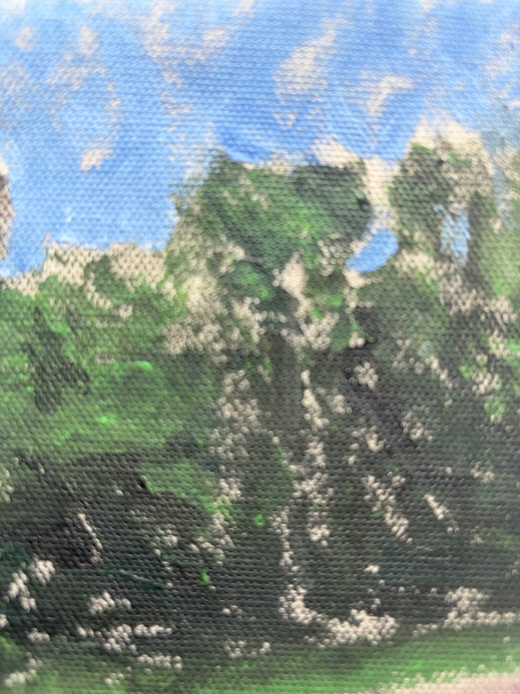 Study of a Forest Edge