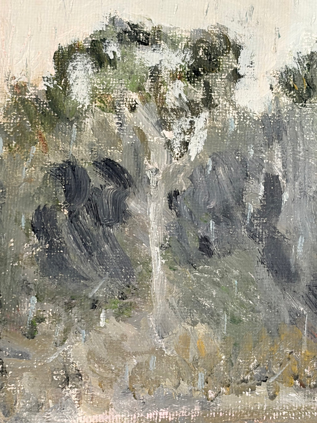 Rain