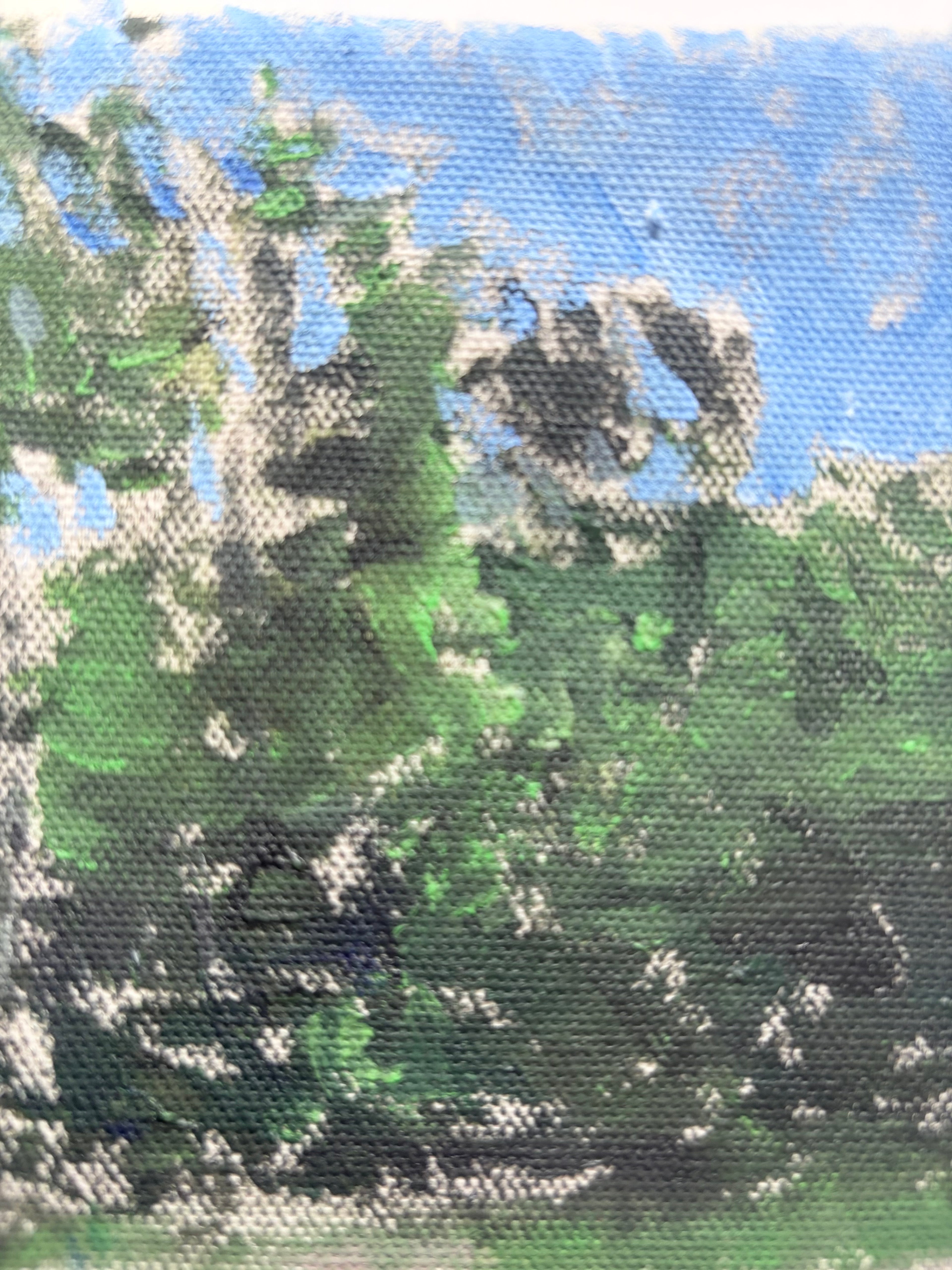Study of a Forest Edge