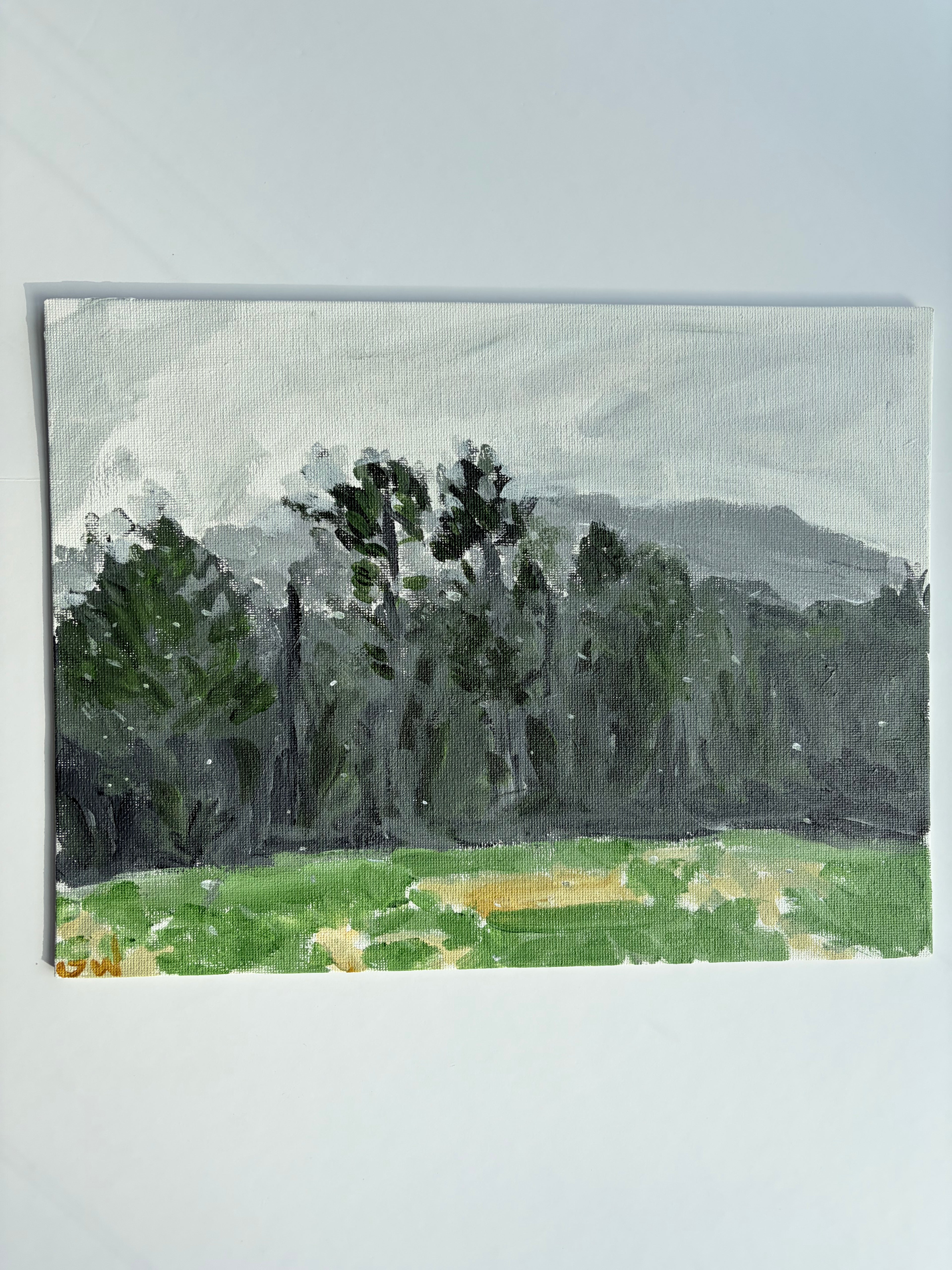 Front Yard (Snow Flurries Atmosphere)