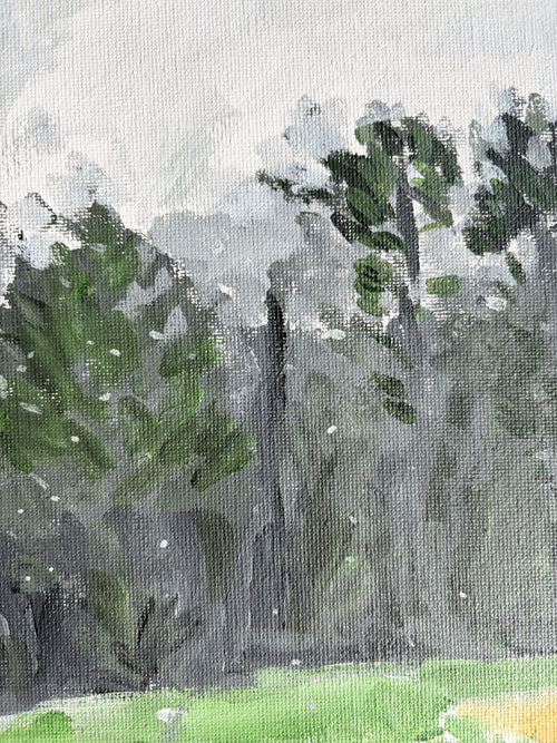 Front Yard (Snow Flurries Atmosphere)