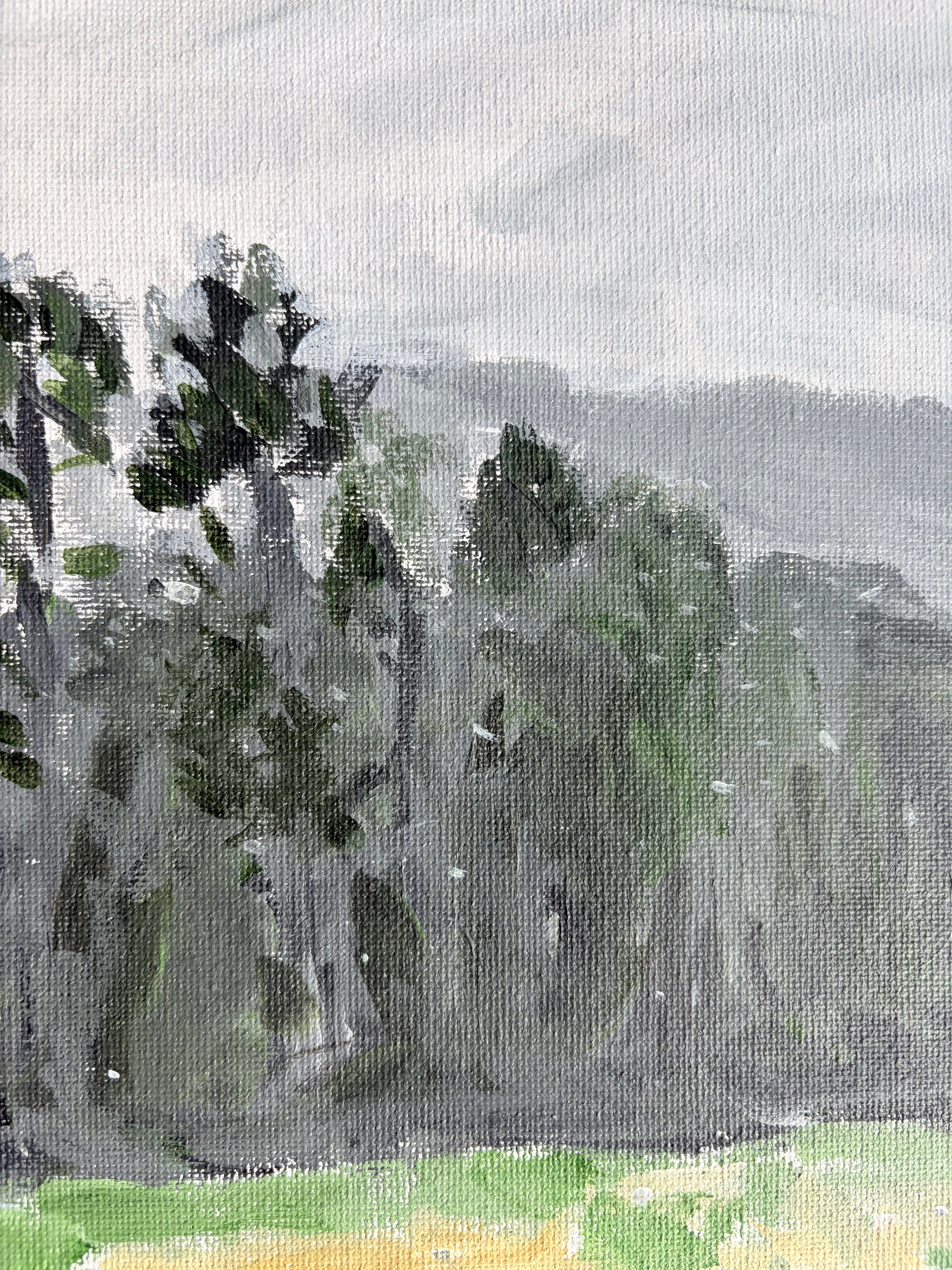 Front Yard (Snow Flurries Atmosphere)