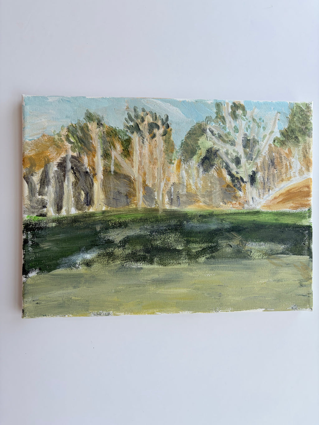 The Sienna Forest