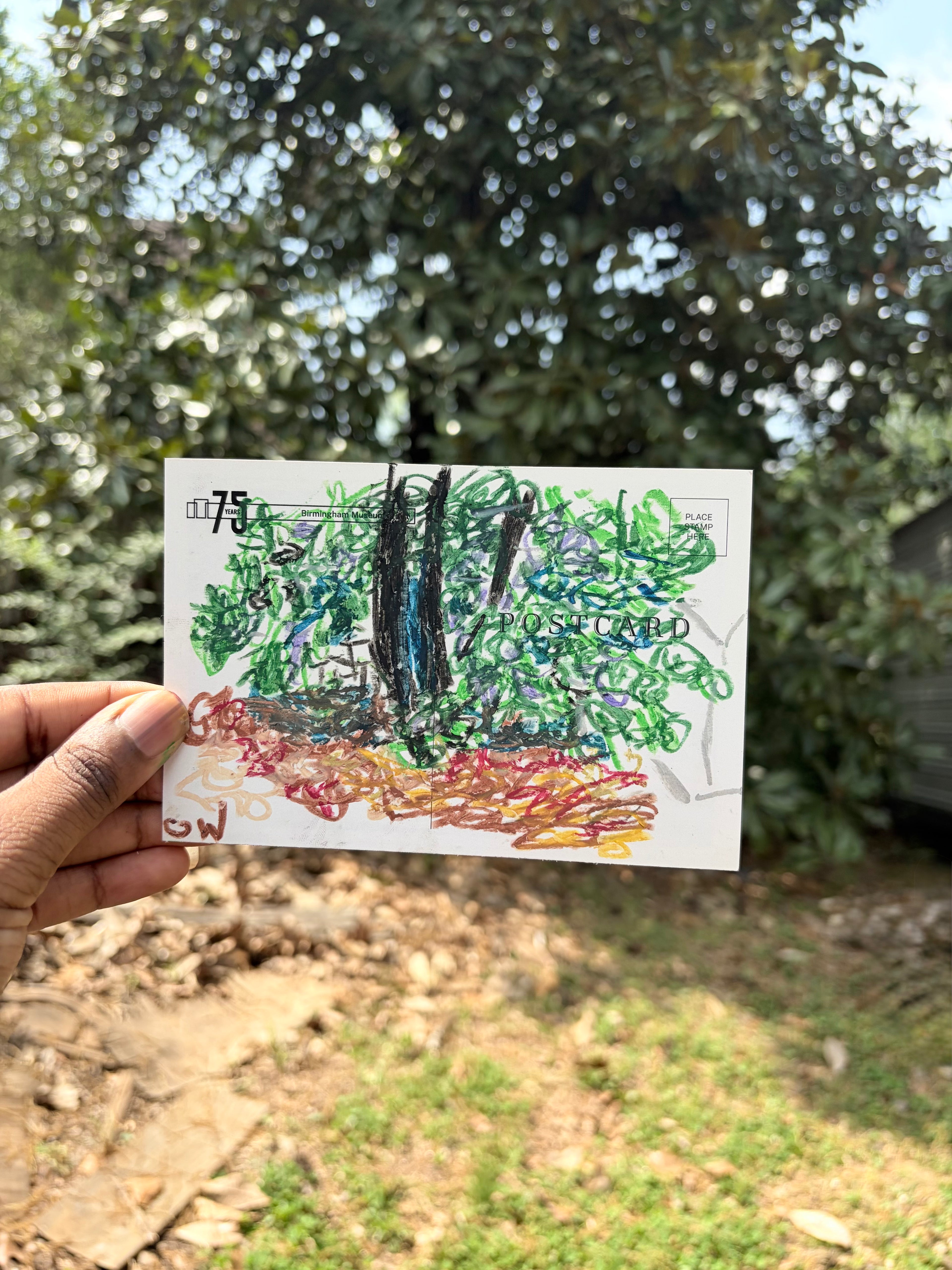 Postcard (Magnolia Tree Study)