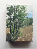 The Four Trees (Early Spring)