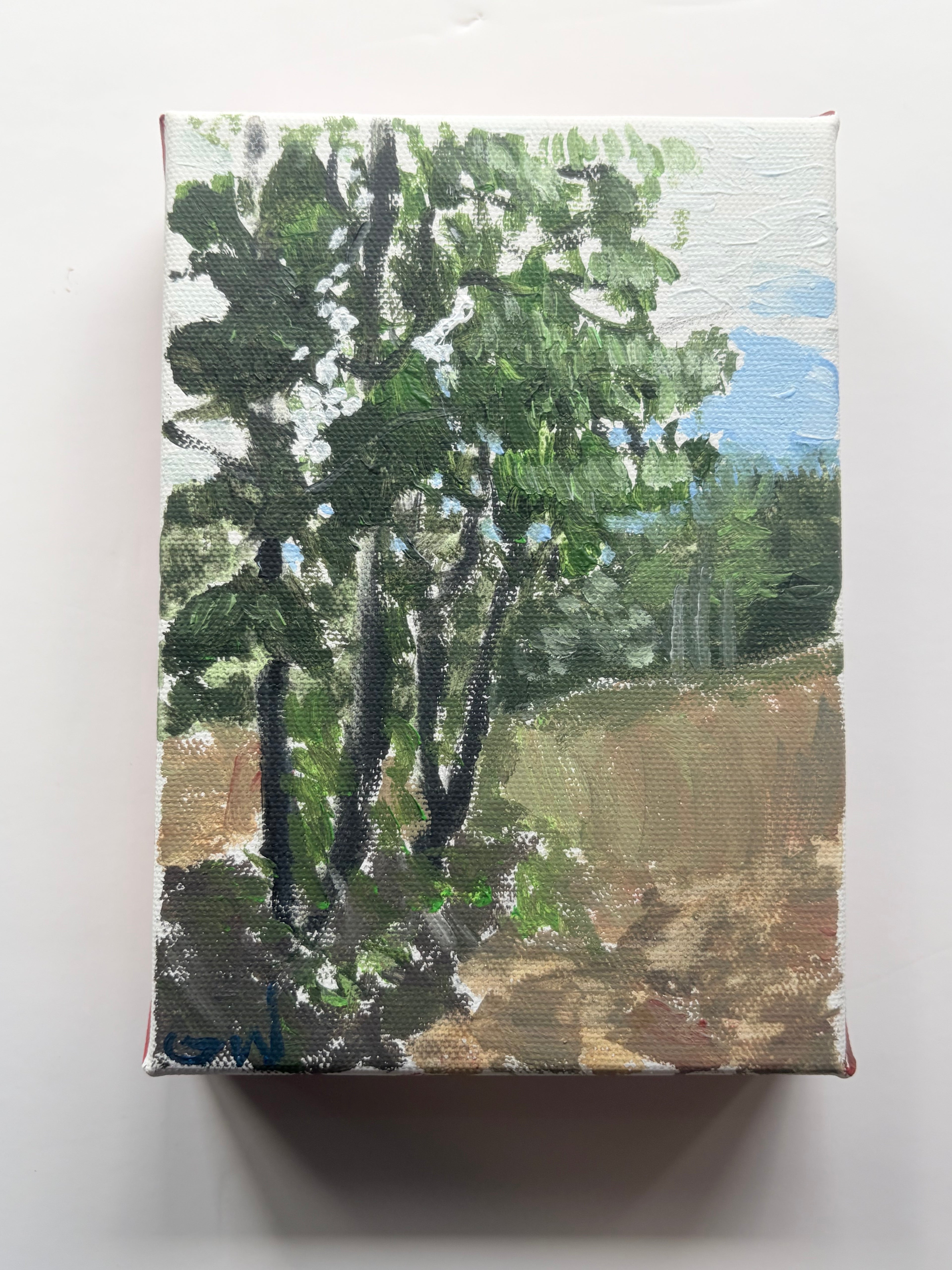 The Four Trees (Early Spring)