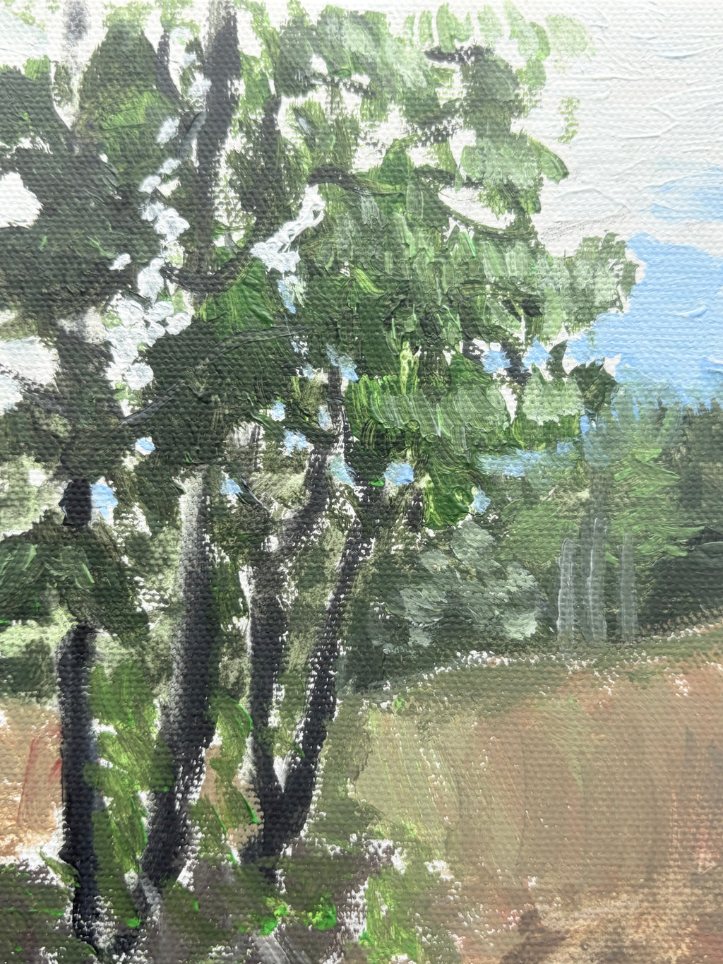 The Four Trees (Early Spring)