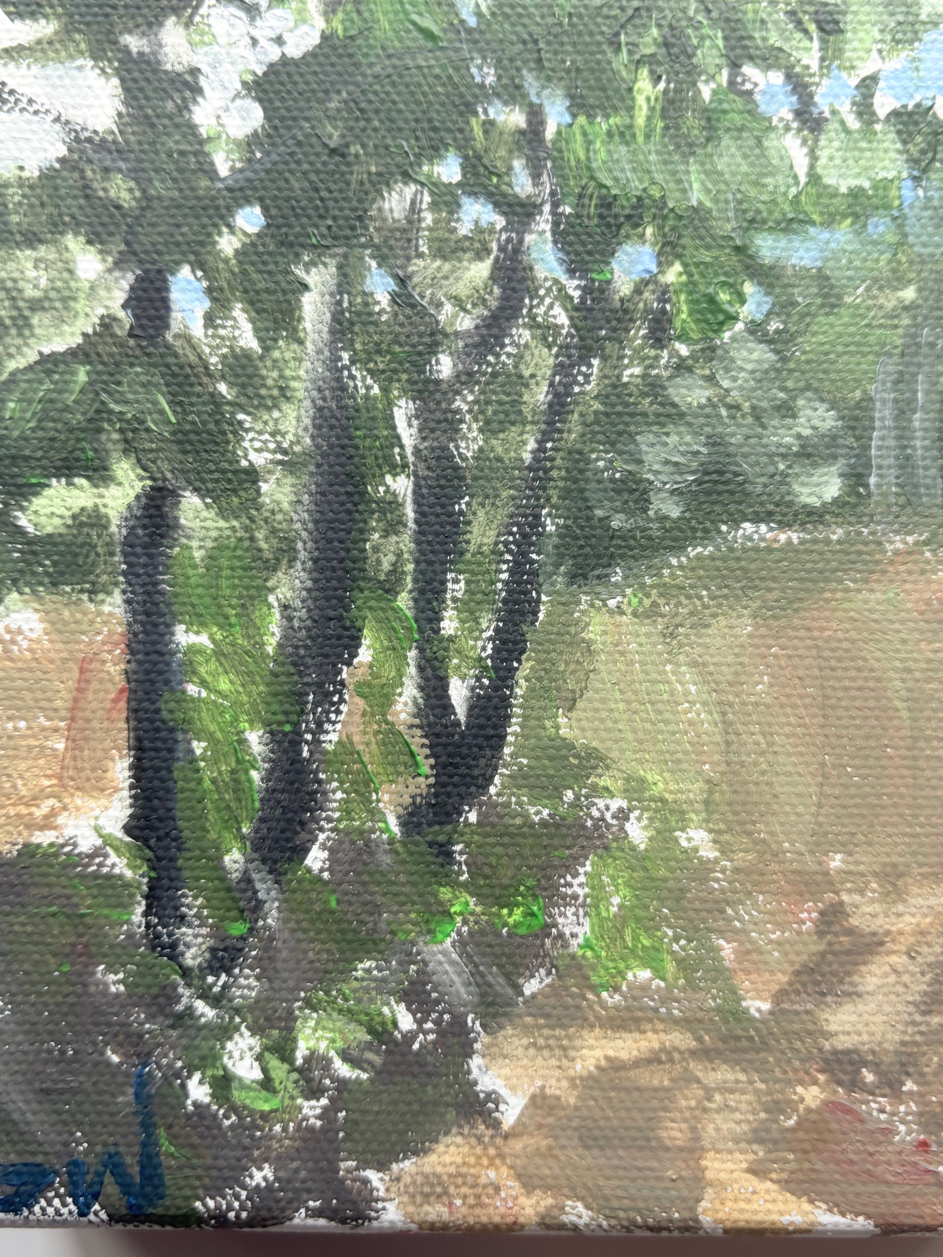 The Four Trees (Early Spring)